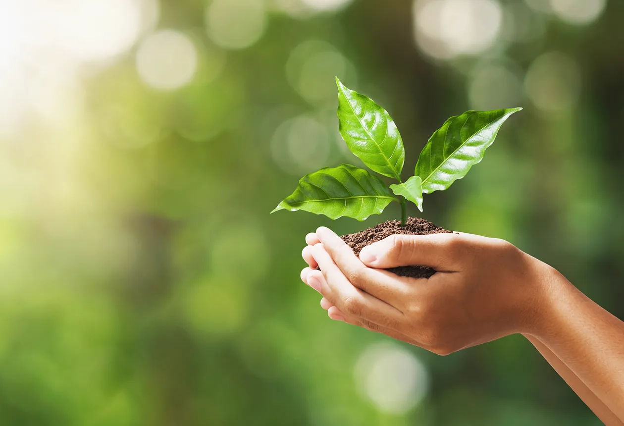 医療サービスの質と施設価値の向上に貢献する